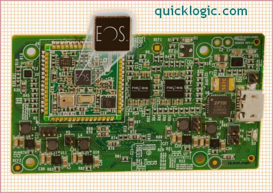 QuickLogic - Flexible Semiconductor Platforms